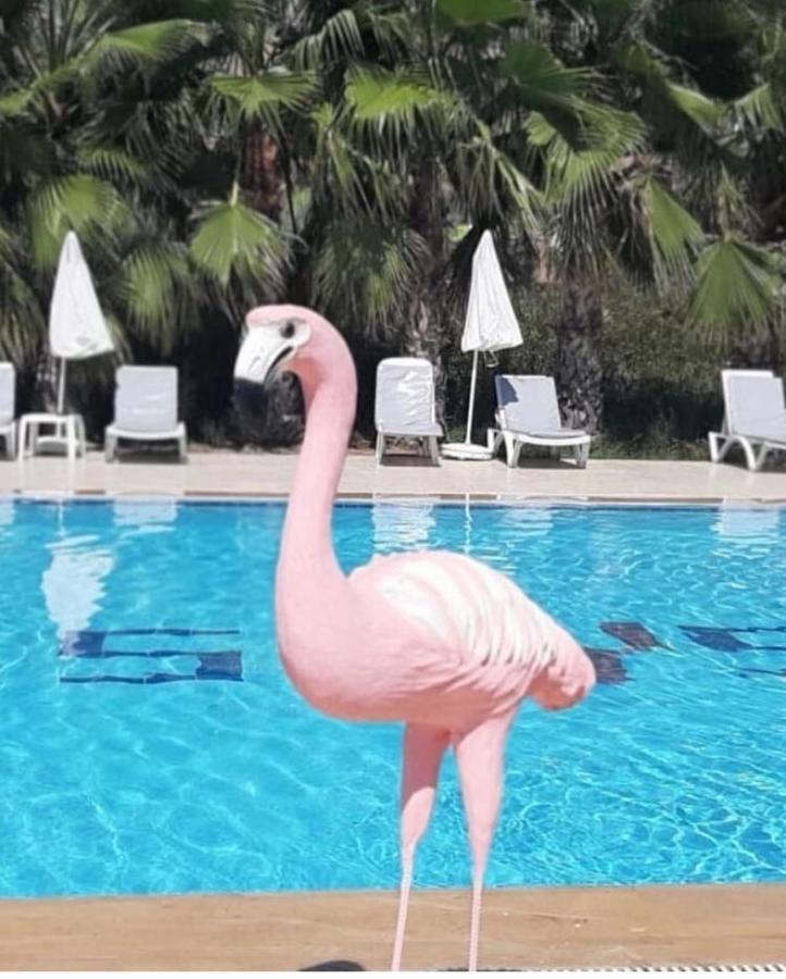 Skys Beach Hotel Manavgat Kültér fotó